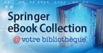Logo Springer eBook Collection